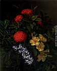 Johan Laurentz Jensen Famous Paintings - Allemanda, Ixora and Orchids